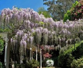 Nooroo Gardens - Hotel VIC 0