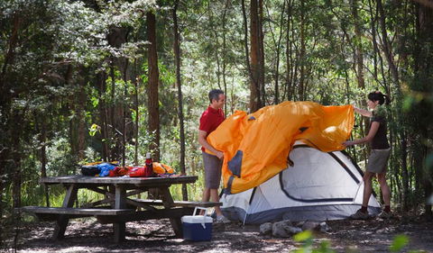 Bald Rock National Park - Hotel VIC 1