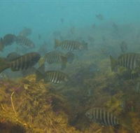 Bunurong Marine and Coastal Park - Hotel VIC