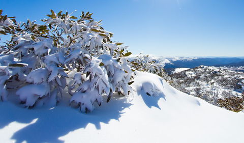 Perisher - Hotel VIC 3