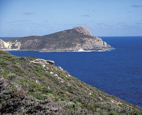 Bald Head Walking Track - Hotel VIC 0