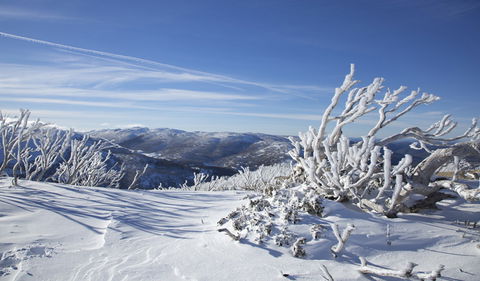 Rock Creek Snowshoe Track - Hotel VIC 0