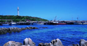 King Island Dairies - Hotel VIC 0
