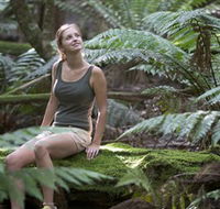 Barrington Tops National Park - Honeysuckle Forest Track - Hotel VIC
