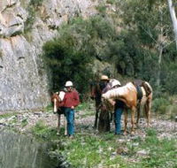 Yarramba Horse Riding - Hotel VIC