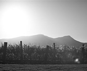 Scarborough Wine Co. - Hotel VIC 1
