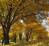 Centennial Park at Cooma - Hotel VIC