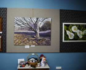 Monaro Art Groups Little Gallery - Hotel VIC 0