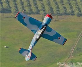 Aerohunter - Hotel VIC 1