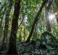 Copeland Tops State Conservation Area - Hotel VIC