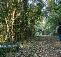Basin Loop track - Hotel VIC