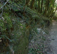 Hidden Treasure track - Hotel VIC