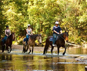 Glenworth Valley Outdoor Adventures - Hotel VIC 2