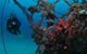Severance Shipwreck Dive Site - thumb 0