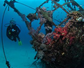 Severance Shipwreck Dive Site - Hotel VIC 0