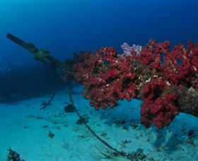 Severance Shipwreck Dive Site - Hotel VIC 2