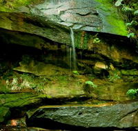 Strickland State Forest - Hotel VIC