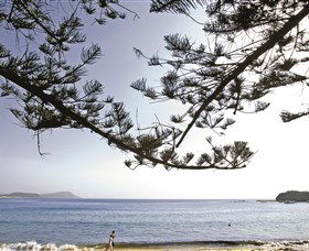 Terrigal Beach - Hotel VIC 0