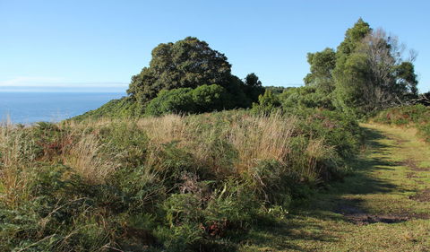 Pretty Beach To Durras Mountain Walking Track - Hotel VIC 2