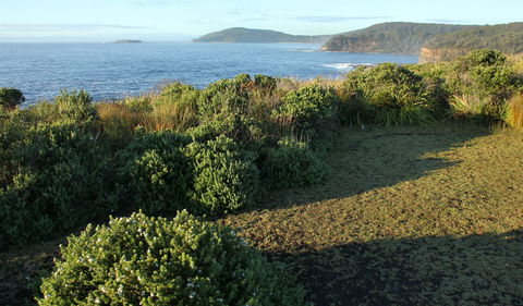 Pretty Beach To Durras Mountain Walking Track - Hotel VIC 3