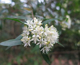 Booderee National Park Botanic Gardens - Hotel VIC 1