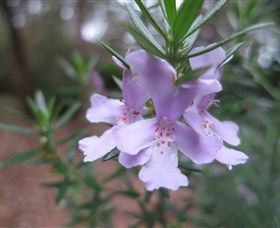 Booderee National Park Botanic Gardens - Hotel VIC 5