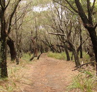 Pretty Beach to Snapper Point walking track - Hotel VIC