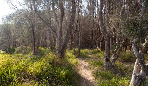 Murramarang Aboriginal Area Walking Track - Hotel VIC 1