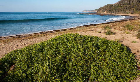 Richmond Beach - Hotel VIC 0