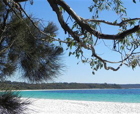 Booderee National Park: Green Patch And Telegraph Creek Walking Tracks - Hotel VIC 6
