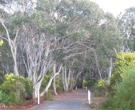 Booderee National Park: Munyunga Waraga Dhugan Walking Trail - Hotel VIC 3