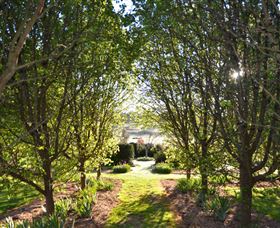 All Saints Garden - Hotel VIC 4
