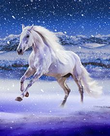 Australian Outback Spectacular: High Country Legends - Hotel VIC 1