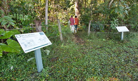 Rainforest Walk - Hotel VIC 0