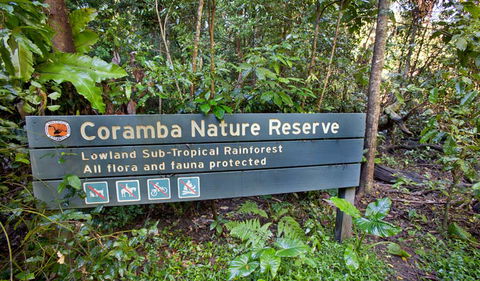 Rainforest Walk - Hotel VIC 1