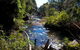 Rainforest Walk - thumb 2