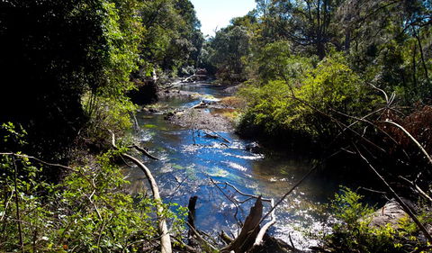 Rainforest Walk - Hotel VIC 2