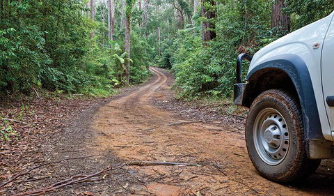 Ulidarra National Park - Hotel VIC 2