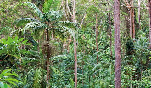 Ulidarra National Park - Hotel VIC 3