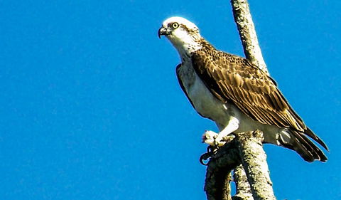 Saltwater National Park - Hotel VIC 1