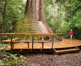 Burrawan State Forest - Hotel VIC 0