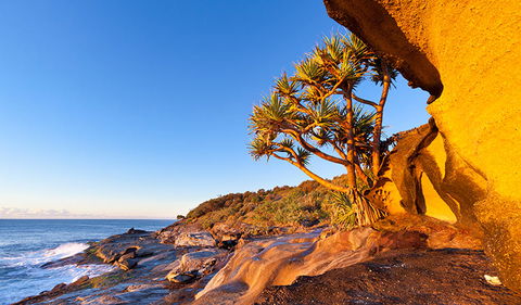 Angourie To Brooms Head - Hotel VIC 1