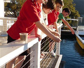 Dunbogan Boatshed - Hotel VIC 3