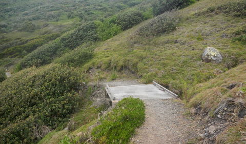 Connors Walking Track - Hotel VIC 2