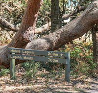 Middle Lagoon walking track - Hotel VIC