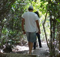 Three Sisters walking track