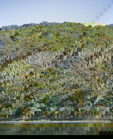 Ben Boyd National Park - Hotel VIC 5