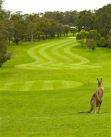 Pambula Merimbula Golf Club - Hotel VIC 2