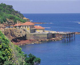 Merimbula Aquarium - Hotel VIC 0