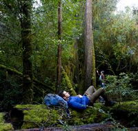 The Tarkine Drive - Hotel VIC